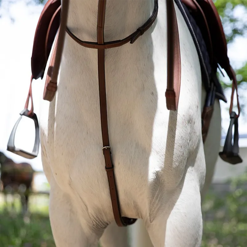 Antares Standing Martingale-Malt Brown/Cream Stitching-1