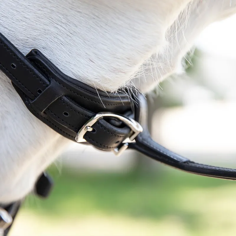 Antares Standing Martingale-Black/Black Stitching-2