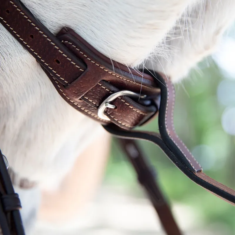 Antares Standing Martingale-Malt Brown/Cream Stitching-2