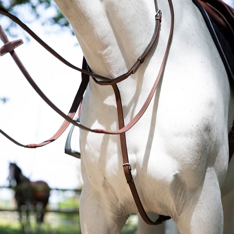 Antares Standing Martingale-Malt Brown/Cream Stitching