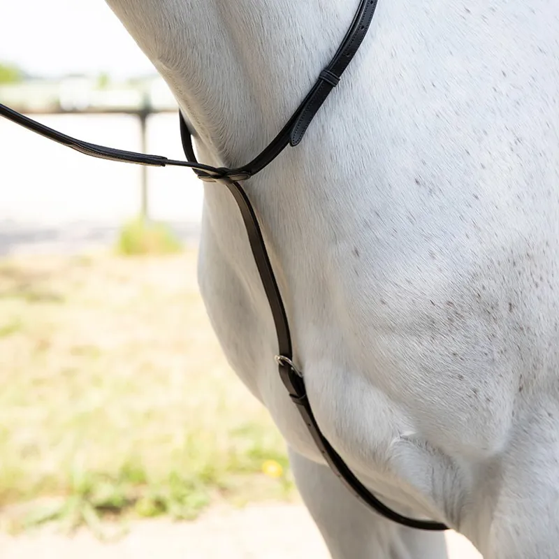 Antares Standing Martingale-Black/Black Stitching